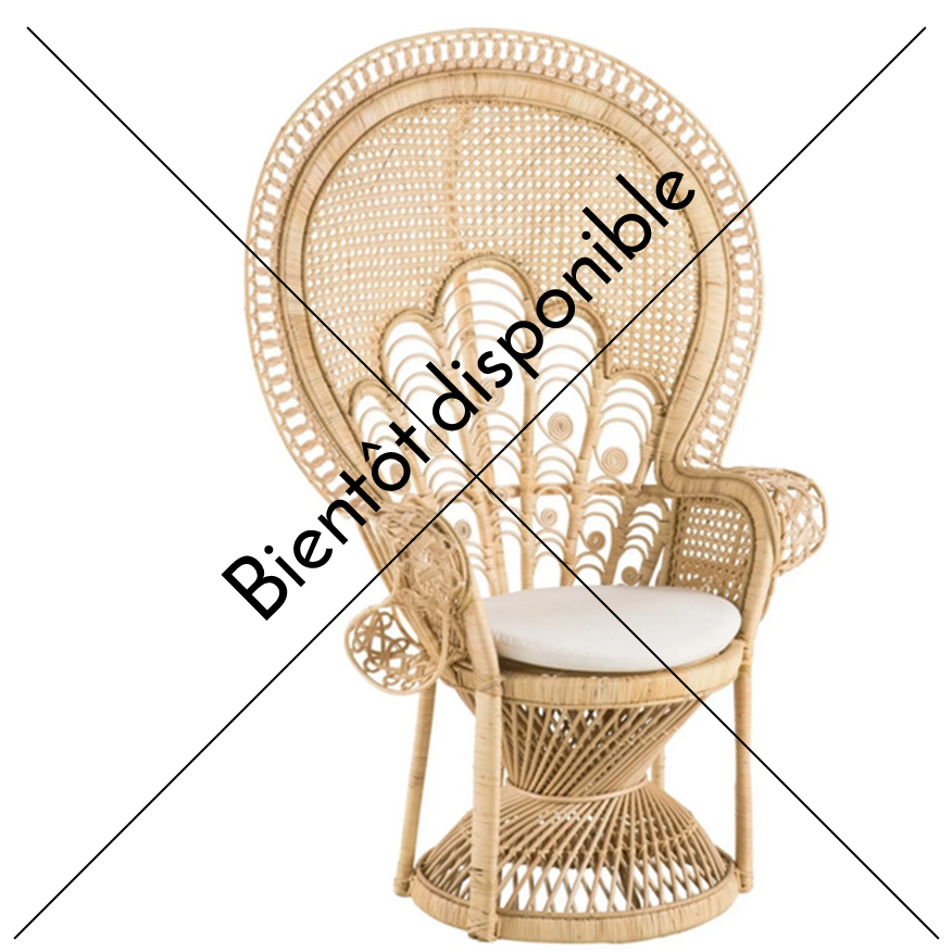 Fauteuil Emmanuelle