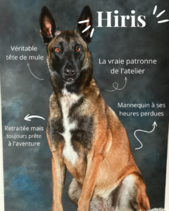L'atelier d'Hiris - Hiris