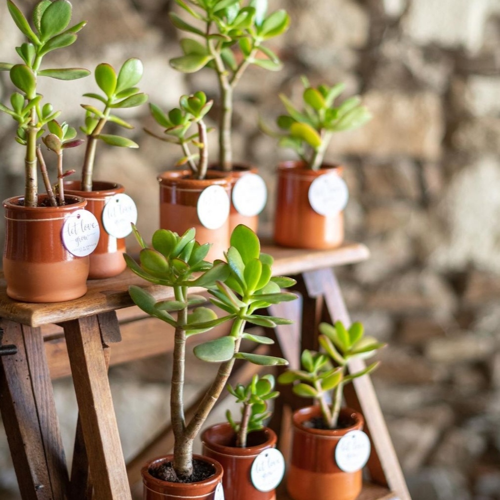 Escabeau en Bois