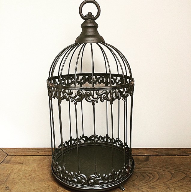 Cage à Oiseaux GM